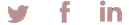 social-icon